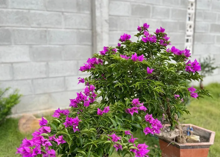 Moc Garden Апартаменты Фантхьет